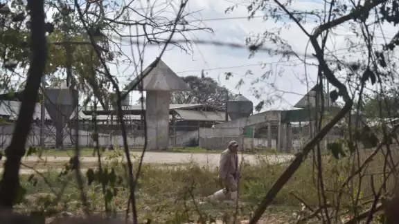 Es la tercera suspensión que se otorga a las actividades de la granja porcícola