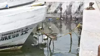 Preocupa la contaminación en La Caleta de Progreso por la concentración de basura y derrame de combustible