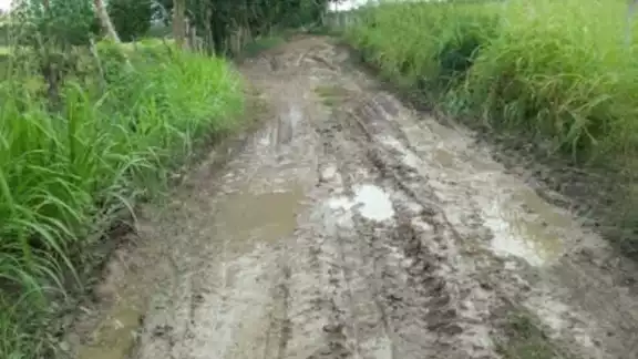 Piden rehabilitar caminos rurales en Jobal; campesinos ya no pueden llegar a sus parcelas