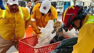 Decomisan 300 kilos de pirotecnia casera en Playa del Carmen