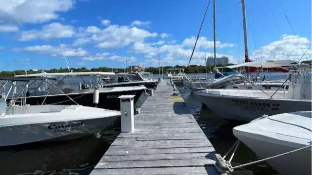 Sólo dos de 500 navíos que fondean cada año en la isla cuentan con sistema de depuración