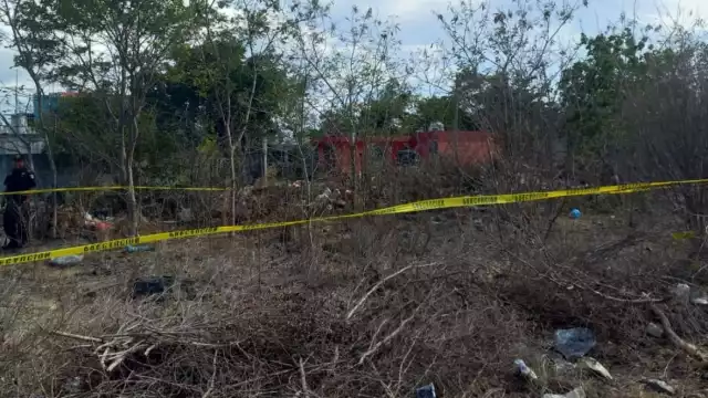 Trabajador descubre un artefacto explosivo durante la limpieza de un terreno de Flamboyanes