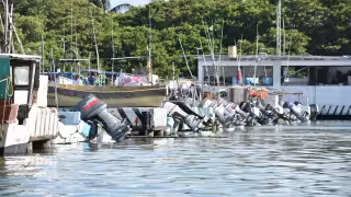 La Caleta de Progreso enfrenta nuevos señalamientos por robos y mercancía ilícita