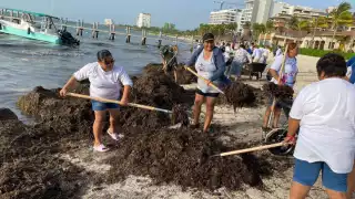 Los vientos del Este del Huracán Beryl provocaron la arribazón de la talofita en Punta Sam