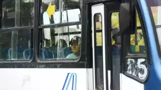 En otros destinos este sector tiene establecidos horarios y rutas, facilitando la movilidad ciudadana, lo que no pasa en Cancún