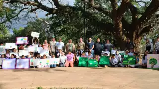 Árbol de pich recibe nombramiento como Patrimonio Verde de Mérida