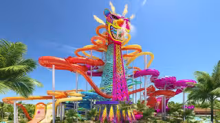 Royal Caribbean expresó su inconformidad ante la decisión de Semarnat de rechazar Perfect Day México
