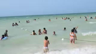 Playas tranquilas en Yucatán: las favoritas de quienes huyen del alto oleaje de Cancún