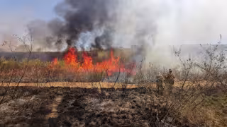 Campeche registra dos incendios forestales activos