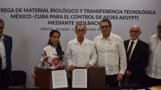 UADY coloca a Yucatán como referente internacional en control del mosquito del dengue