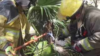 Elementos del Heroico Cuerpo de Bomberos respondieron al llamado.