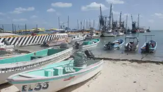 Las pérdidas se acumulan y los gastos de las lanchas se deben cubrir.