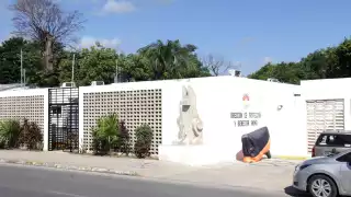 La activista Sara Rincón Gallardo, fundadora del Centro de Bienestar Animal de Cancún, denunció un sacrificio masivo de perros y gatos sin protocolos ni pruebas sanitarias.