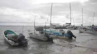 Pescadores asociados han decidido instalar luminarias y cámaras de videovigilancia