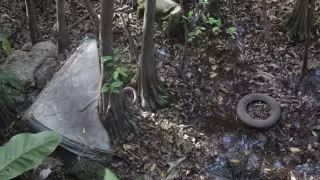 En total abandono y llenos de basura se encuentran estos cuerpos de agua.