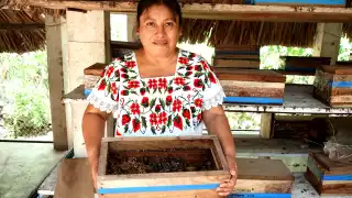 Más de 150 mujeres fueron capacitadas para elaborar propóleo, velas y jabones, con los que logran libertad financiera