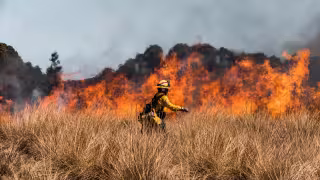 Campeche reporta 56 incendios en 2025 y arranca 2026 con nuevos siniestros