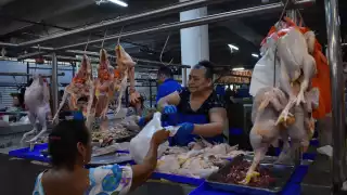 La demanda del pavo podría incrementar en los próximos días
