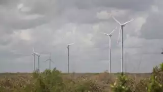 Autorizan a filial mexicana de Elecnor la construcción del nuevo campo en Panabá, en el Oriente