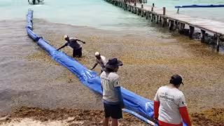 La longitud proyectada duplica la instalada previamente y se suma a las barreras colocadas por hoteleros en distintos puntos del litoral
