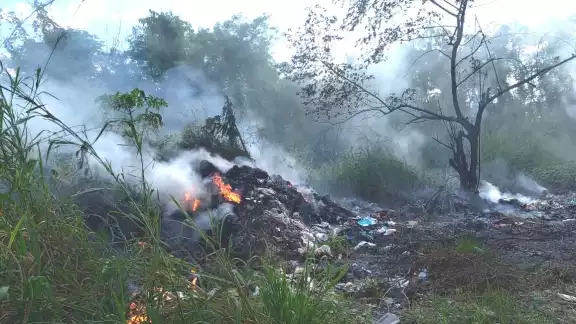 Bomberos controlaron un incendio de maleza en terrenos ejidales de la colonia Carlos Salinas de Gortari