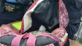 Agentes municipales atiendieron reporte de médico que encontró un bulto a la puerta de una farmacia