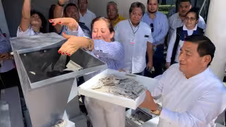 Más de 12 mil credenciales fueron destruidas por pérdida de vigencia en Campeche