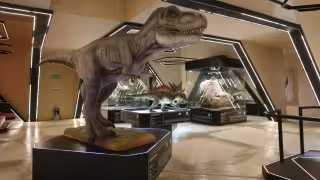 Museo del Meteorito y Reserva El Corchito acumulan más de 42 mil visitantes en tres meses