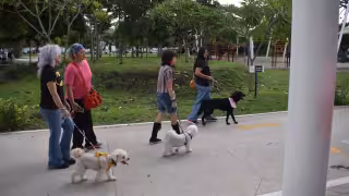 Templos de Mérida realizarán bendición de mascotas por San Francisco de Asís