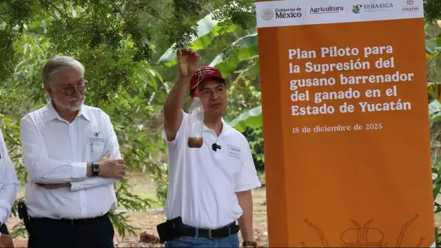 La Seder trabaja junto con los ganaderos del estado para disminuir la población de la mosca