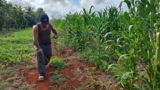 Primer Foro Agropecuario Yucatán 2026