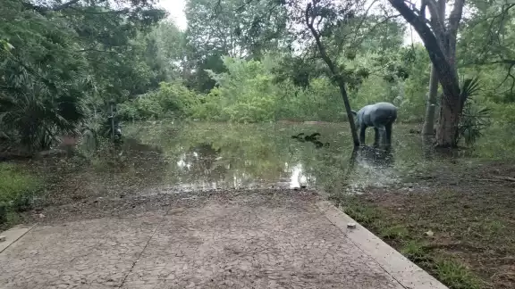 Internautas dieron a conocer que los animales están en malas condiciones; no se pudo corroborar