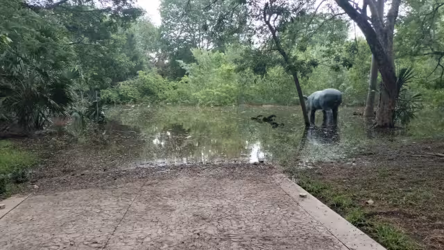Internautas dieron a conocer que los animales están en malas condiciones; no se pudo corroborar