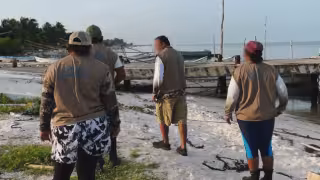 Profepa asegura tres embarcaciones por ingresar sin autorización a áreas protegidas en Yucatán