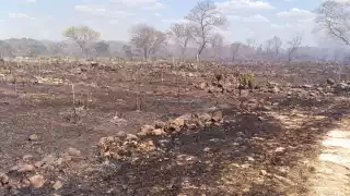 Quemas agrícolas amenazan la fertilidad de la tierra en Campeche