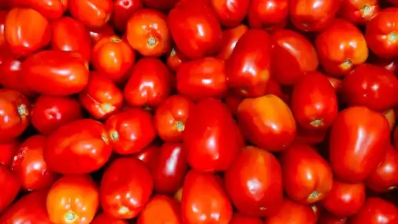 El gobierno de México fijó su postura ante la medida de EEUU de aplicar aranceles de 17% al tomate. El gobierno de México fijó su postura ante la medida de EEUU de aplicar aranceles de 17% al tomate.