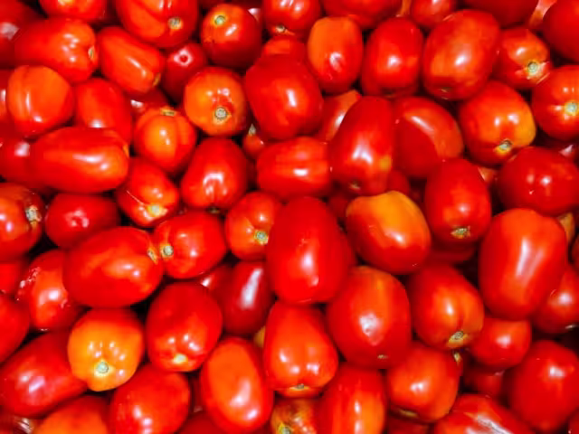 El gobierno de México fijó su postura ante la medida de EEUU de aplicar aranceles de 17% al tomate.