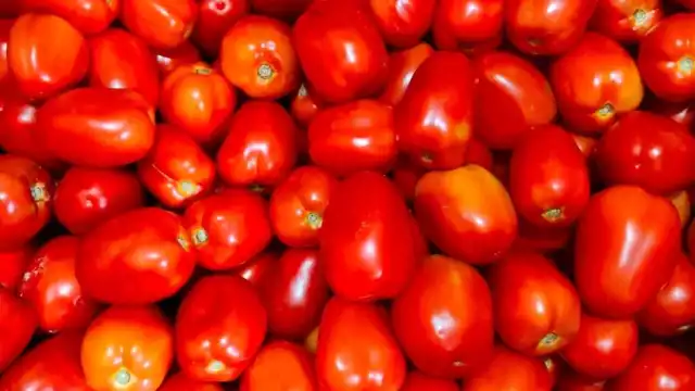 El gobierno de México fijó su postura ante la medida de EEUU de aplicar aranceles de 17% al tomate.