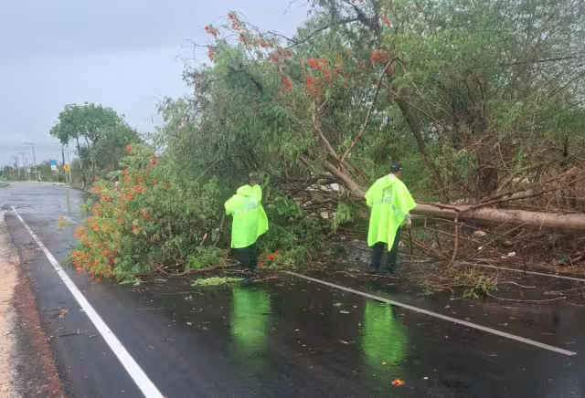 La intensa lluvia y el viento registrados la tarde de este jueves causaron diversas afectaciones