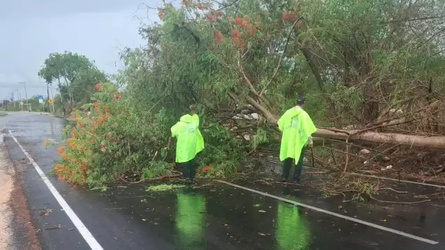 La intensa lluvia y el viento registrados la tarde de este jueves causaron diversas afectaciones
