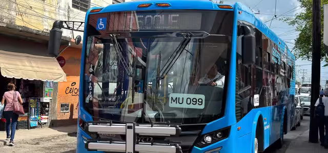 Del 9 al 16 de agosto, el servicio de transporte será gratuito.