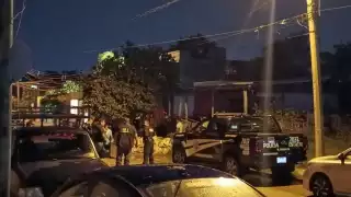 Trágica noche al Oriente de Mérida: Enjambre de abejas ataca a tres hombres; hay un muerto