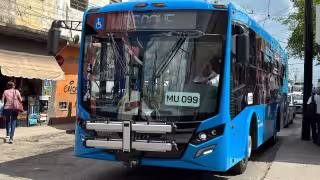 Del 9 al 16 de agosto, el servicio de transporte será gratuito.