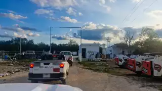 Selva baja caducifolia, la más afectada por desmonte ilegal