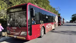 El sistema de transporte Ko’ox estará en funciones a partir del primero de febrero