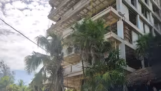 Juez ordena demolición del proyecto  inmobiliario Adamar en Tulum por daños ambientales