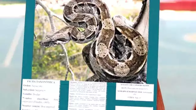 Habrá diversos concursos de fotografías y dibujos