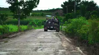 Ecologistas advierten de grave daños a la selva maya