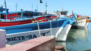 Confían en que el precio de esta especie sea bueno, debido a que es temporada de alta demanda