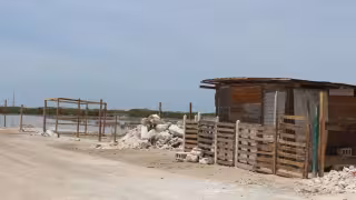 Venta múltiple de predios en ciénegas provoca riñas y enfrentamientos